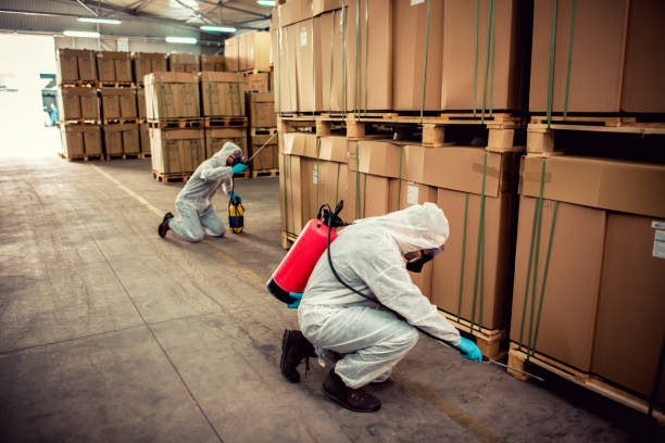 Best Pest Prevention Services  in Beattyville, KY
