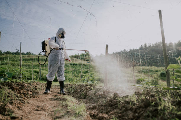 Best Best Pest Control Companies  in Beattyville, KY
