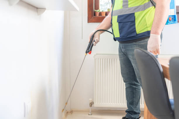 Flea Control Services in Beattyville, KY